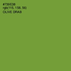 #739E38 - Olive Drab Color Image